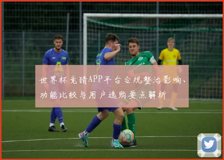 世界杯竞猜APP平台合规整治影响、功能比较与用户选购要点解析