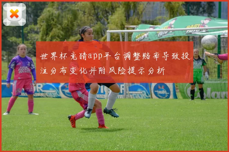 世界杯竞猜app平台调整赔率导致投注分布变化并附风险提示分析