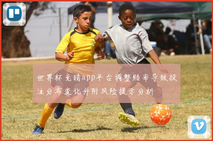 世界杯竞猜app平台调整赔率导致投注分布变化并附风险提示分析