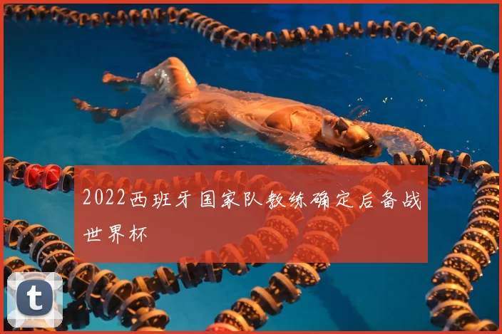 2022西班牙国家队教练确定后备战世界杯