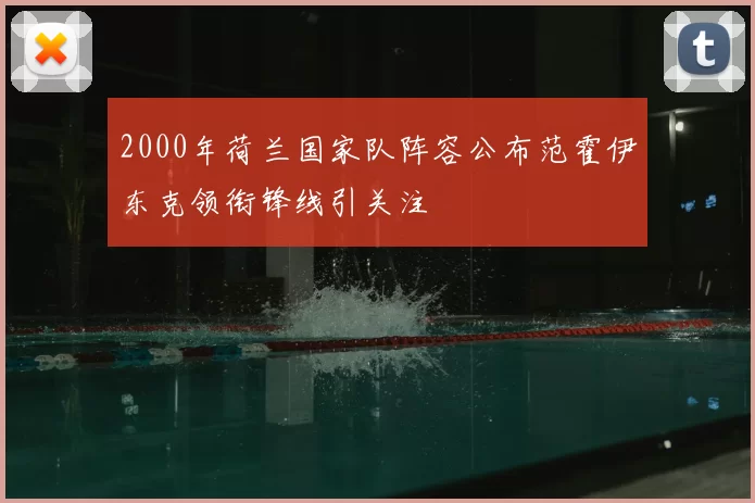 2000年荷兰国家队阵容公布范霍伊东克领衔锋线引关注