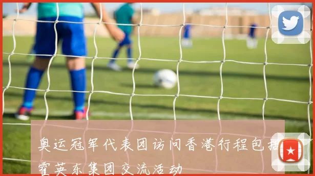 奥运冠军代表团访问香港行程包括霍英东集团交流活动