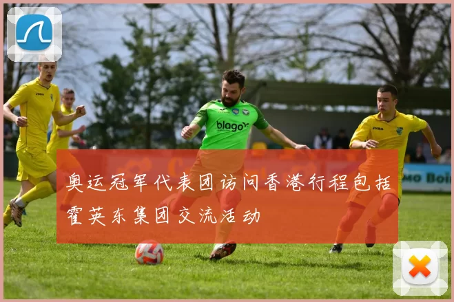 奥运冠军代表团访问香港行程包括霍英东集团交流活动