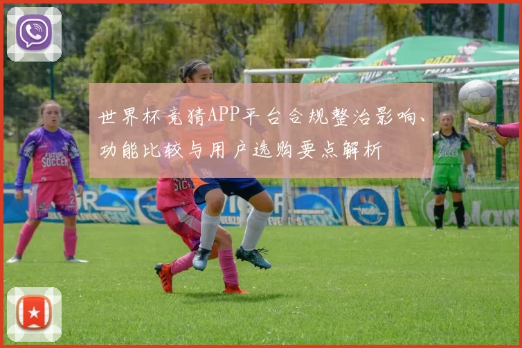 世界杯竞猜APP平台合规整治影响、功能比较与用户选购要点解析