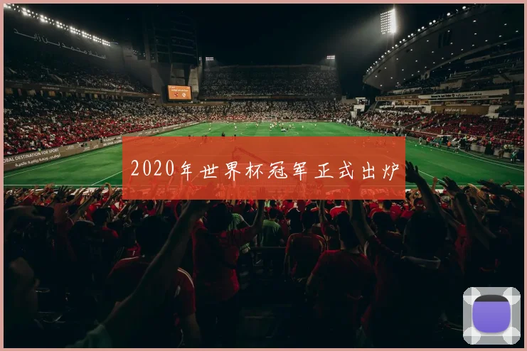 2020年世界杯冠军正式出炉